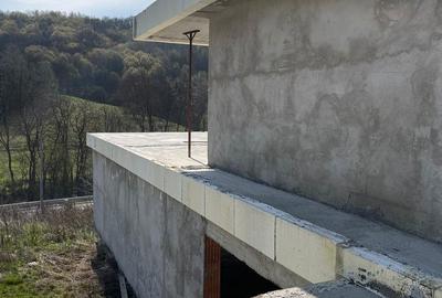 Casă cu 4 camere cu Teren 4038 Mp în Milcoiu - 12