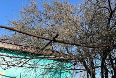 Teren Construcții intravilan de 997 mp, în Blașcovici - 2