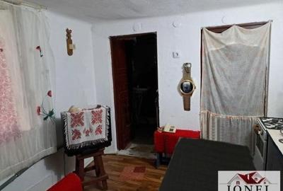 Casa de vanzare in Ciugud -1000 mp teren - 4