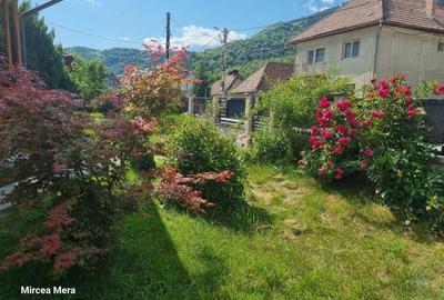 Casă individuală cu 4 camere cu Teren 750 Mp în Central - 6