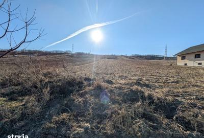 Teren de 10000 mp, în Săucești - 2