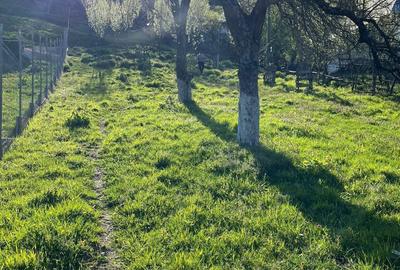 Spațiu comercial, în Gurguiata - 6