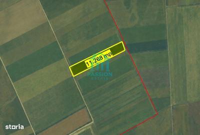 Teren de 22679 mp, în Hărman - 8