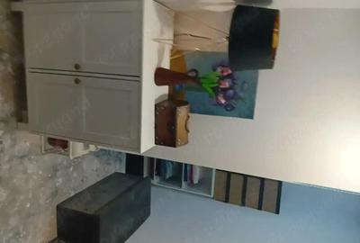 Casă cu 3 camere în Vișina - 1