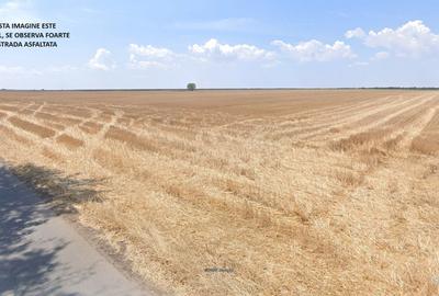 Proprietar - Teren de 40.000 mp Costinesti – în inima noii zone turistice - 2