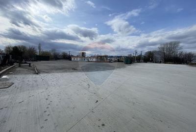 Teren Construcții intravilan de 73351 mp, în Sud - 8