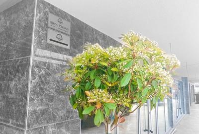 Apartament 3 cam .cu terasa /NewWorldMilitari/Mutare Imediata - 4