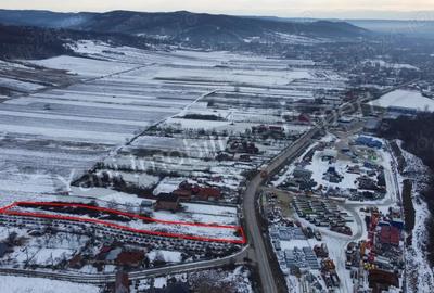 Teren de 2533 mp, în Bălteni - 7