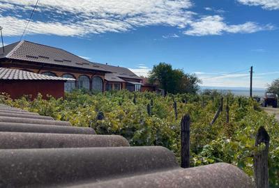 Casă cu 4 camere în Fântânele - 4