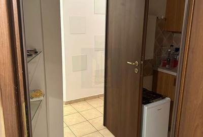 Apartament cu 2 camere decomandat, mobilat în Dacia - 17