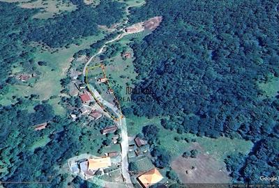 Cabana, anexe si 2000 mp teren intravilan in Taratel, Brad - 4