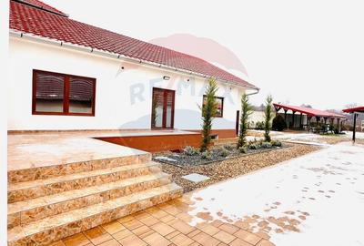 Casă de vânzare în zona Oncea, Str Ion Bogdan, teren 2.000 mp - 18