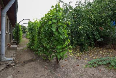 Casa cu 5 camere de vanzare | Dumbrava, Prahova I Comision 0% - 17