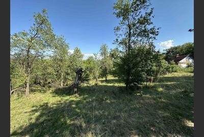 Vânzare teren Reșița: 17260 mp, Calea Caransebeșului - 3