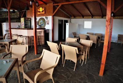 Hotel/Pensiune, de 10 mp, în Nicolae Bălcescu - 7