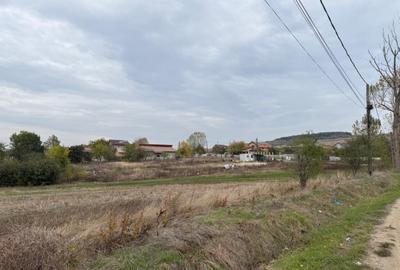 Teren de 8665 mp, în Central - 3