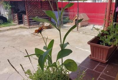 Casă cu 7 camere cu Teren 2800 Mp în Cârbești - 7