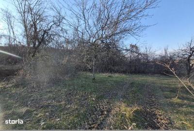 Teren de 1931 mp, în Nădrag - 4