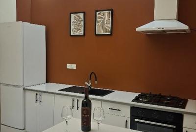 Vnd ap 3 camere Ultracentral  str Tudor Vladimirescu - 2