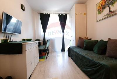 Apartament 2 dormitoare si bucatarie, parcare inclusa, 10 min de Vivo! - 25