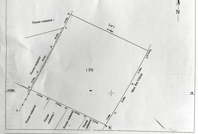 Teren intravilan de 6651 mp, în Agrement Ostroveni - 1