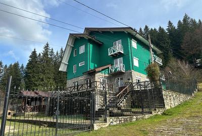 VIGAFON - Pensiune-casa de vacanta Predeal - 15