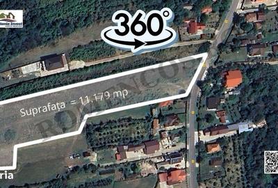 Teren de 11197 mp, în Moșoaia - 11