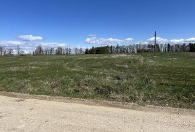 Teren de 5000 mp, în Băbana - 6