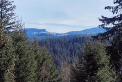 Penisiune independenta energetic, 9 camere, 350mp, zona Palt - 16