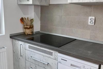 Apartament cu 2 camere decomandat în Calea Urseni - 4