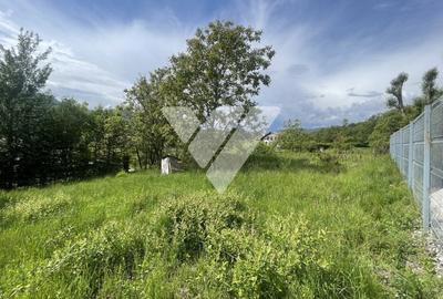 Teren Intravilan Constructii - Cisnadioara - Sibiu - 2