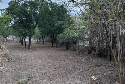 Casă cu 4 camere cu Teren 1610 Mp în Ciochina - 4