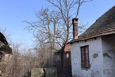 Casă cu 4 camere în Teremia Mare - 6