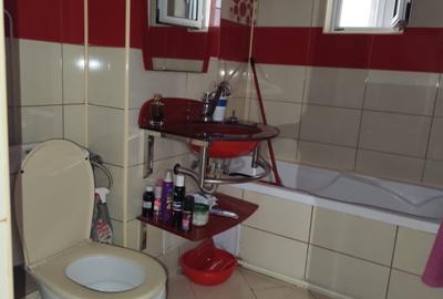 Apartament cu 2 camere decomandat în Dunărea - 10
