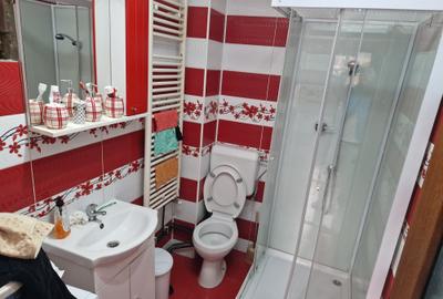 Casă mobilată Sânpetru-Brașov - 10