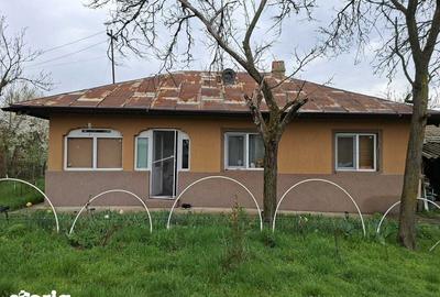 Casă cu 3 camere cu Teren 3000 Mp în Botoroaga - 1