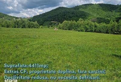 Teren de 4411 mp, în Băișoara - 2