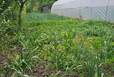 Vand casa str. 1Mai - 3