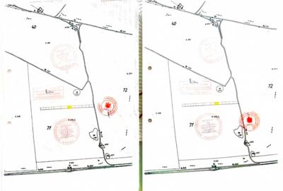 Teren agricol intravilan de 894 mp, în Chiajna - 4