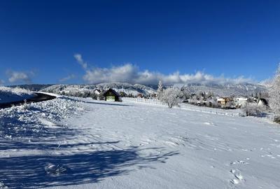 Teren satul Sirnea, intravilan, deschidere 120 m la drum asfaltat, - 11