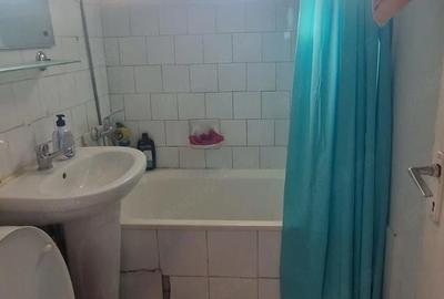 Garsonieră semidecomandată în Valea Rosie - 1