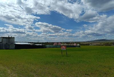 Teren de 5000 mp, în Valea Călugărească - 5