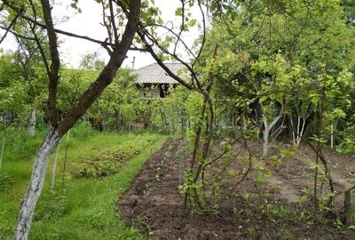 Casă cu 3 camere cu Teren 3850 Mp în Răchițele de Jos - 3