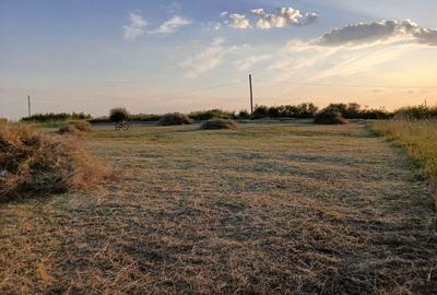 Spațiu comercial, în Tohani - 4