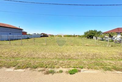 Teren 2,398mp loc. Frumuseni, jud. Arad
