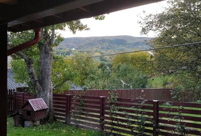 Casa din bârne , 3 camere, Stațiunea Cacica, SU 117mp,882 mp teren - 15