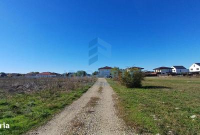 Spațiu comercial, în Tamași