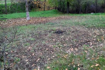 Teren de 470 mp, în Gălăteni - 10