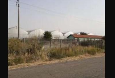 Spațiu industrial, de 7,300 mp, în Uivar