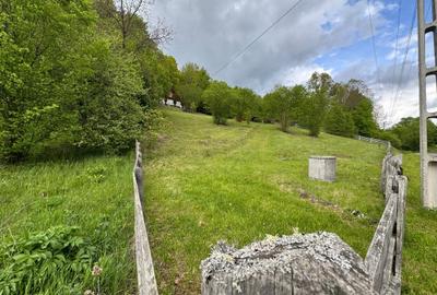 Casă de vacanță cu teren (30 ari) - 2